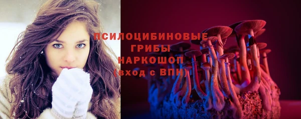 дживик Пестово