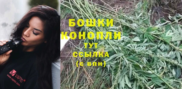 apvp Пересвет