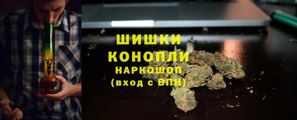 дживик Пестово