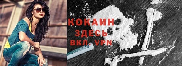 дживик Пестово