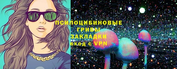 apvp Пересвет