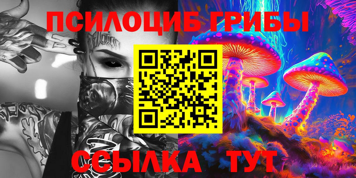 Кохма  Псилоцибиновые грибы прущие грибы  Вход с VPN  Псилоцибиновые грибы прущие грибы 